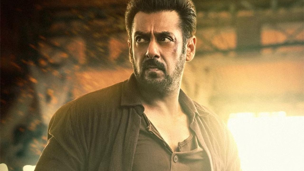 Tiger 3: Salman Khan's spy thriller witnessed a slight drop on Wednesday due to India vs New Zealand Semi-Finals in Mumbai. Read More
