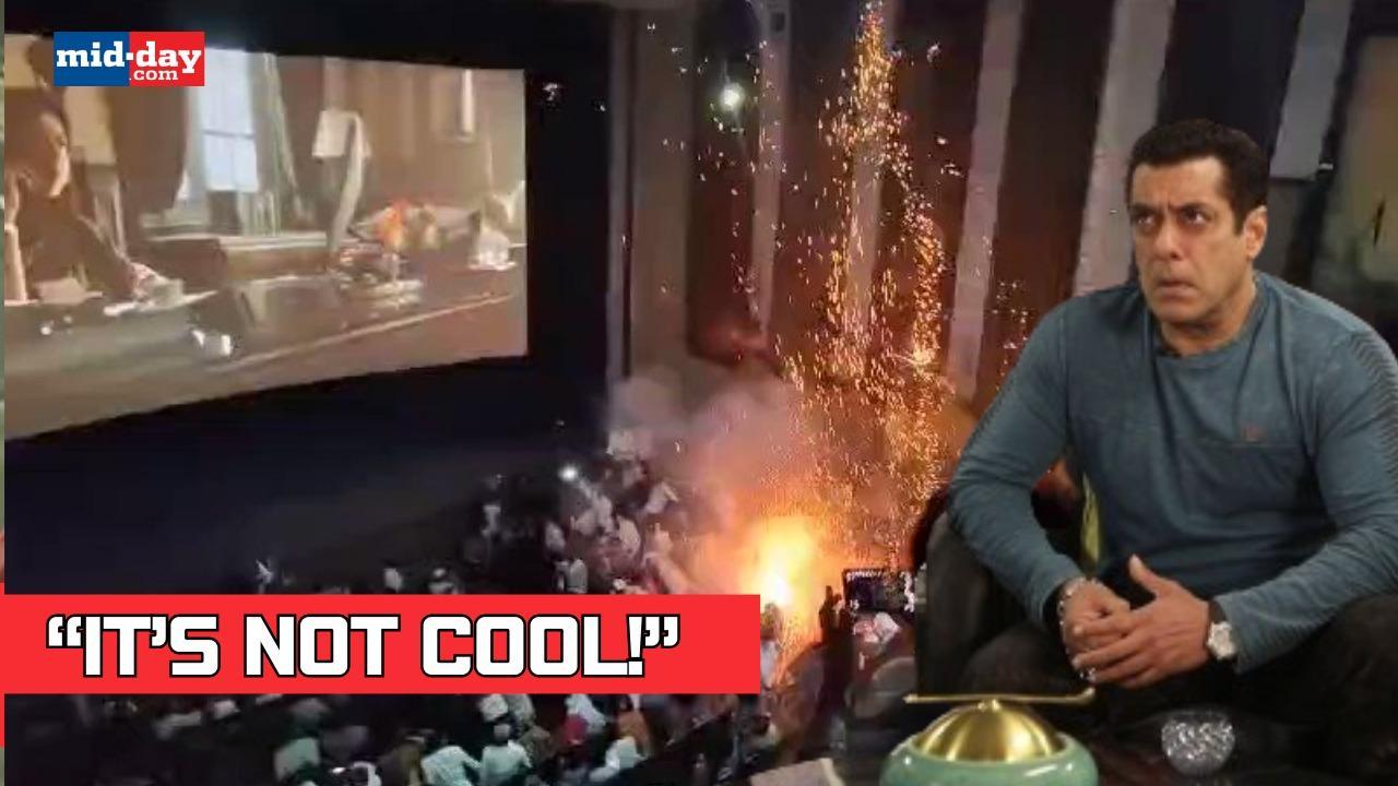 Tiger 3 star Salman Khan reacts to fans bursting crackers inside the theatres