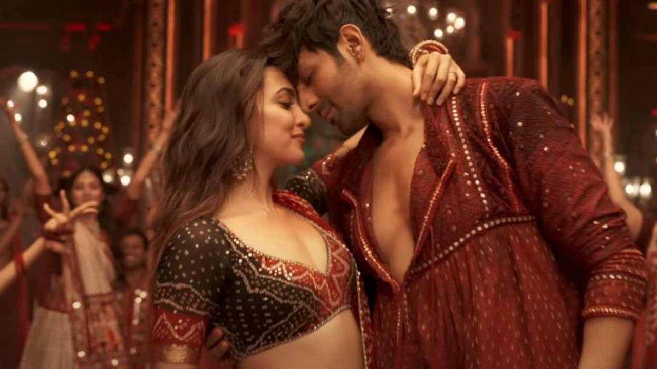 Kartik's latest was Satyaprem Ki Katha with Kiara Advani. It is a musical drama that speaks about important issue of woman finding the courage to stand up for themselves