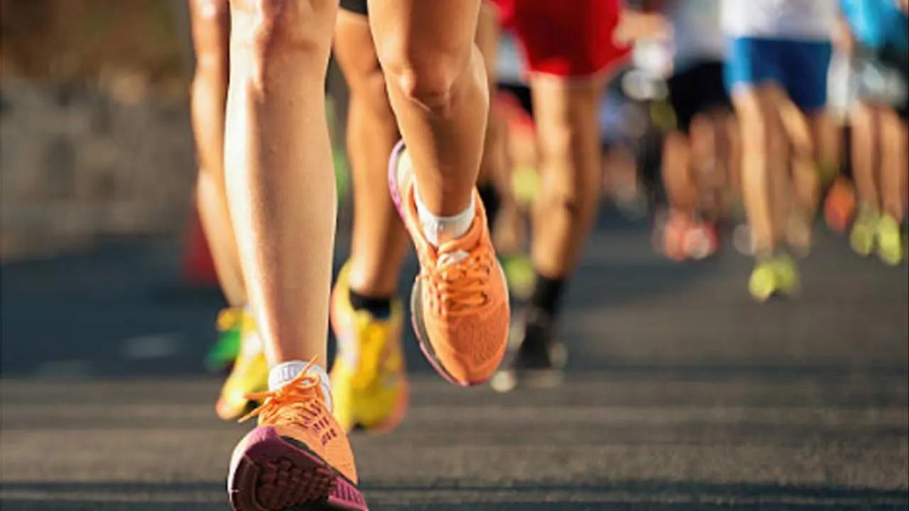 Store your mesh sneakers in a well-ventilated place to ensure they stay dry and fresh. Avoid storing them in a closed, damp environment, which can lead to mould and odour issues