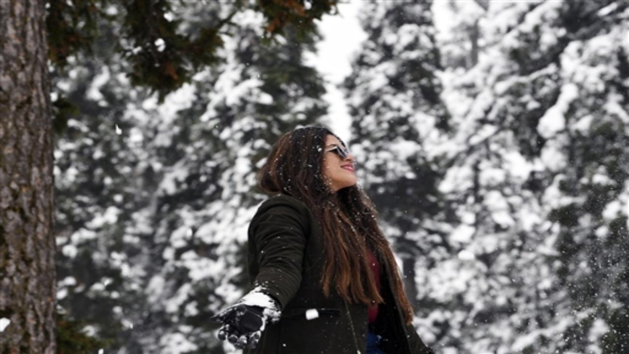 Gulmarg is one of the most incredible tourist destinations, famous for its eye-catching view during the snowfall season as well as the season of lupine flowers, which usually begins in mid-June and lasts until the end of July.