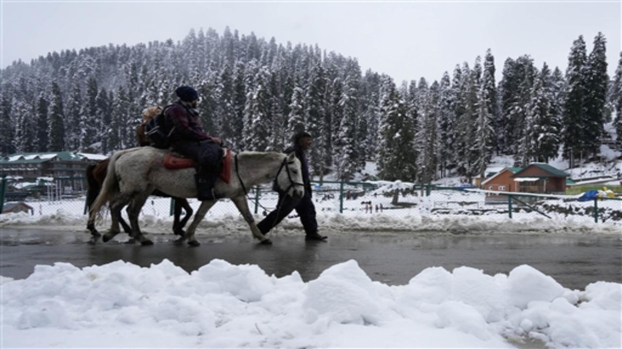 Light to moderate snowfall and rain are going on over the higher reaches at most places of Jammu and Kashmir, the Meteorological Department officials said.