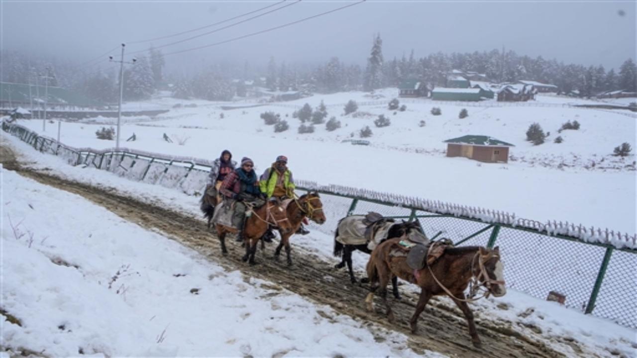 In February 2022, the world's largest igloo cafe was opened in Gulmarg, grabbing the eyeballs of tourists. In 2023, a glass igloo restaurant was developed by a private entity in Gulmarg.