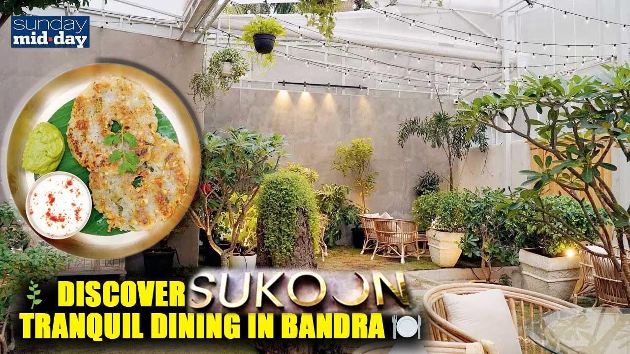 Sukoon Eatery: Bandra`s Tranquil Oasis for clean eating and relaxation