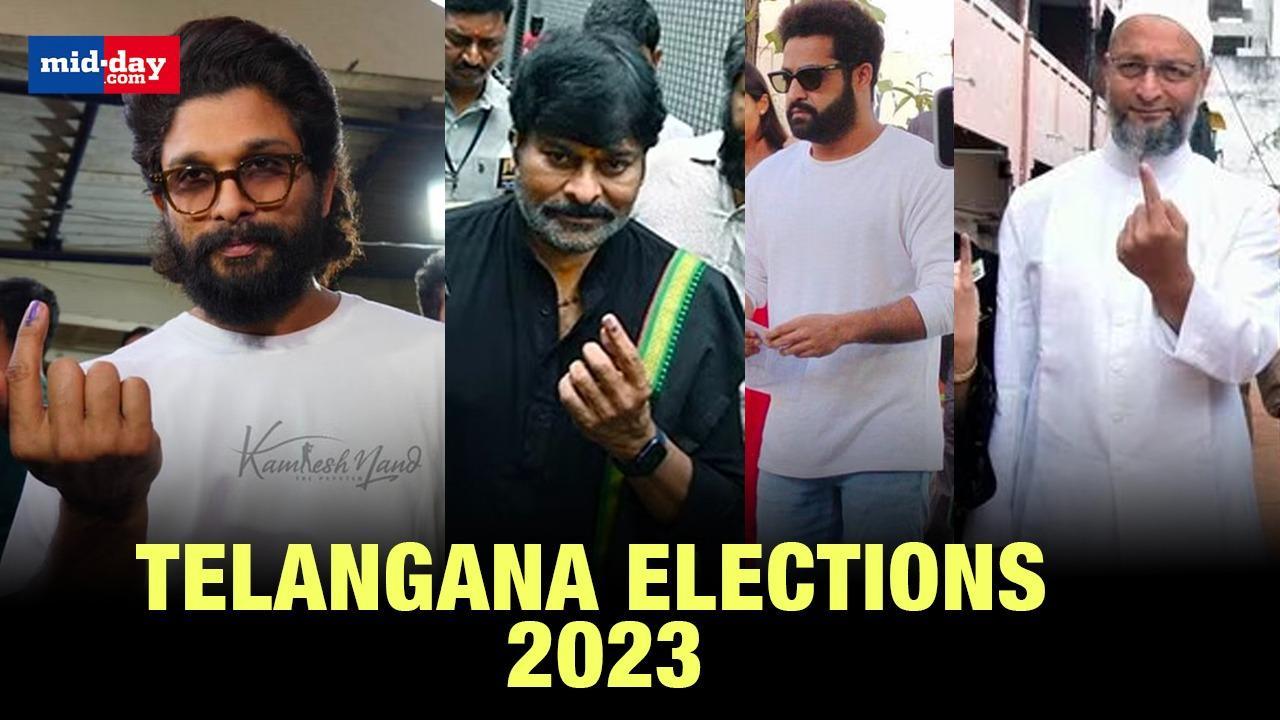 Telangana Elections: Jr NTR, Chiranjeevi, Allu Arjun, Md Azharuddin cast vote