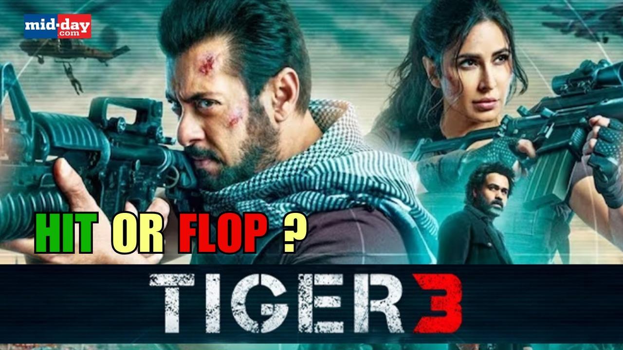 Tiger 3 Public Review: Audience reacts to Salman Khan & Katrina Kaif’s film