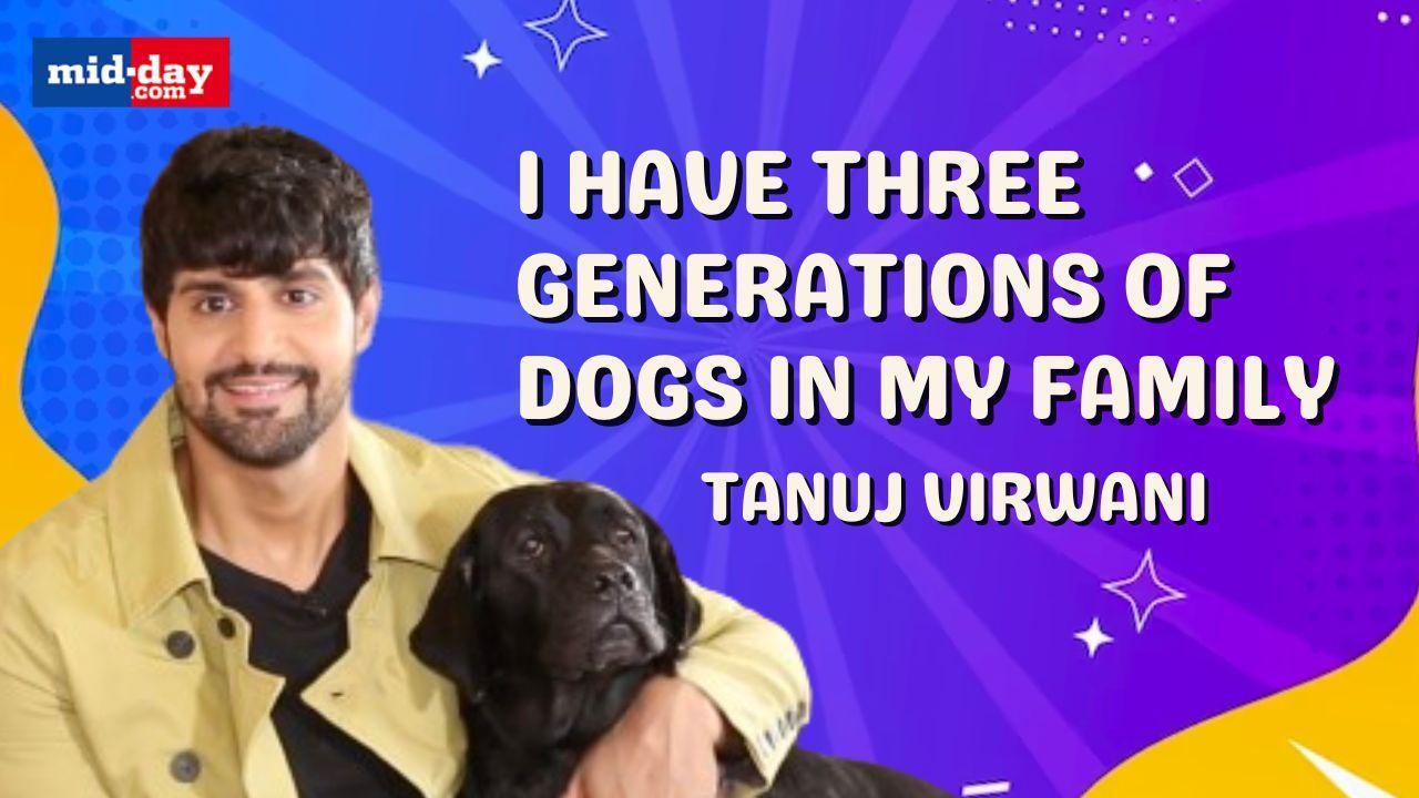 Pet Parents: Tanuj Virwani Talks About Reconnecting With His Dogs During COVID