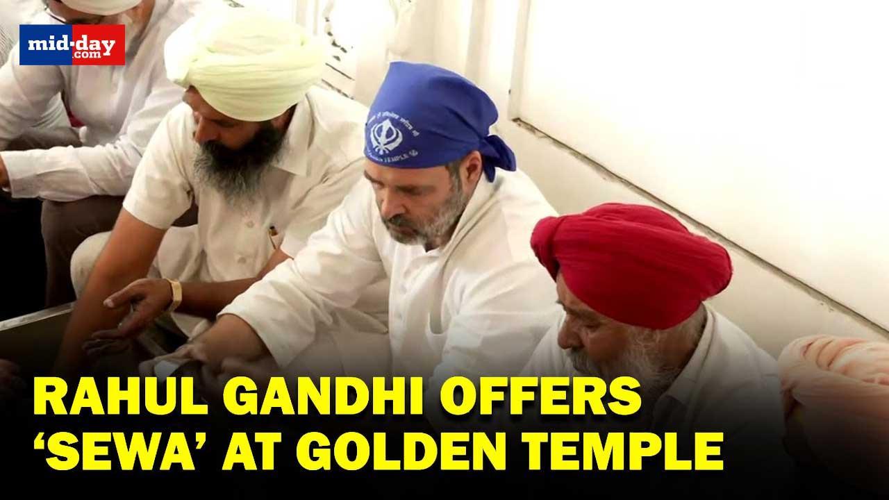 Congress leader Rahul Gandhi cleans dishes as part of ‘sewa’ at Golden Temple
