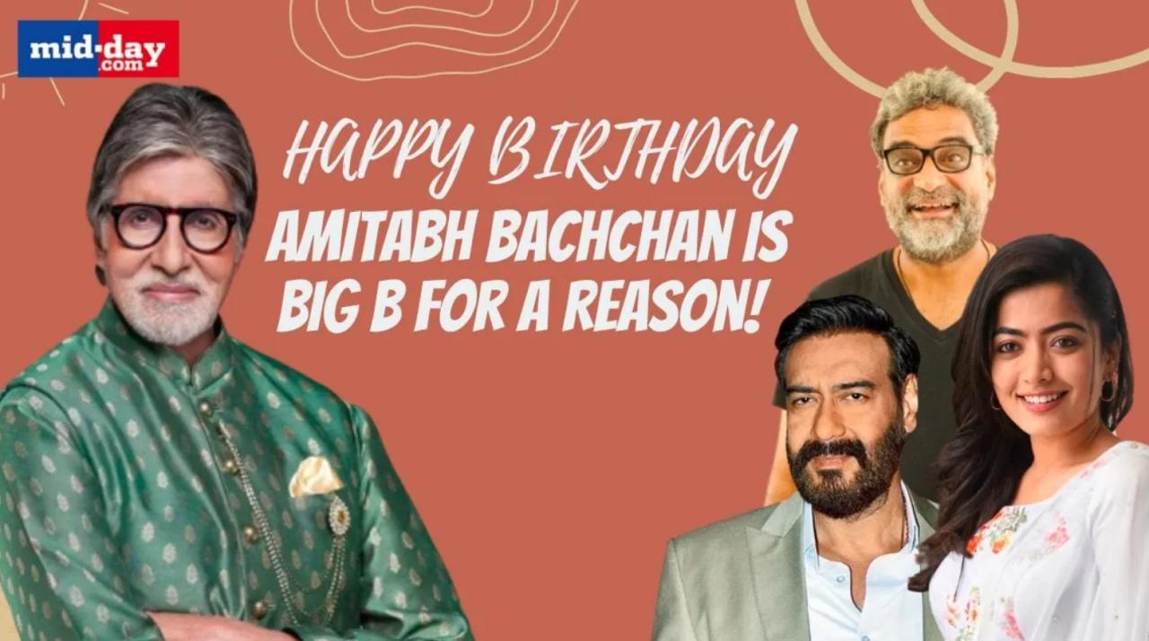 Amitabh Bachchan Birthday: Ajay Devgn, Rashmika Mandanna On Big B!