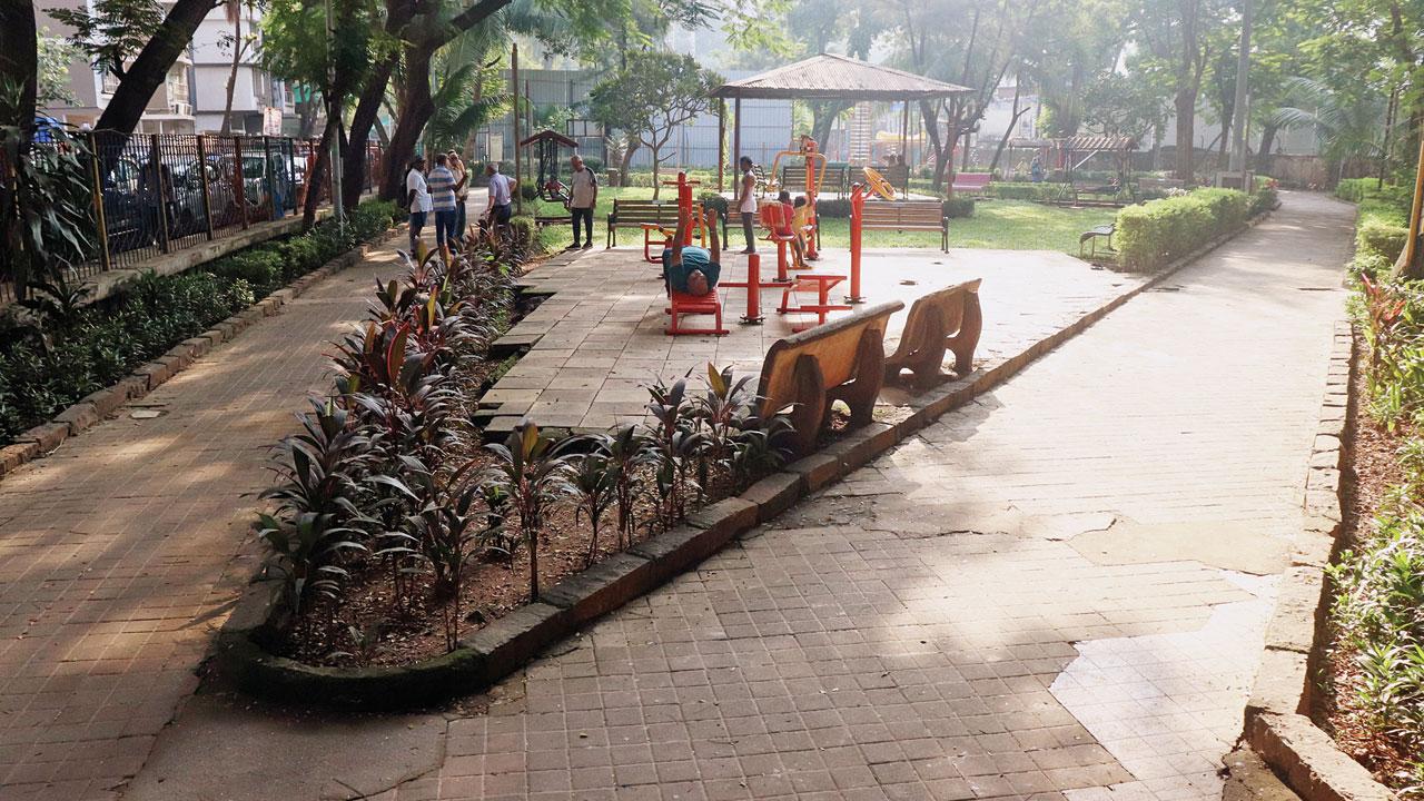 A view of the garden space