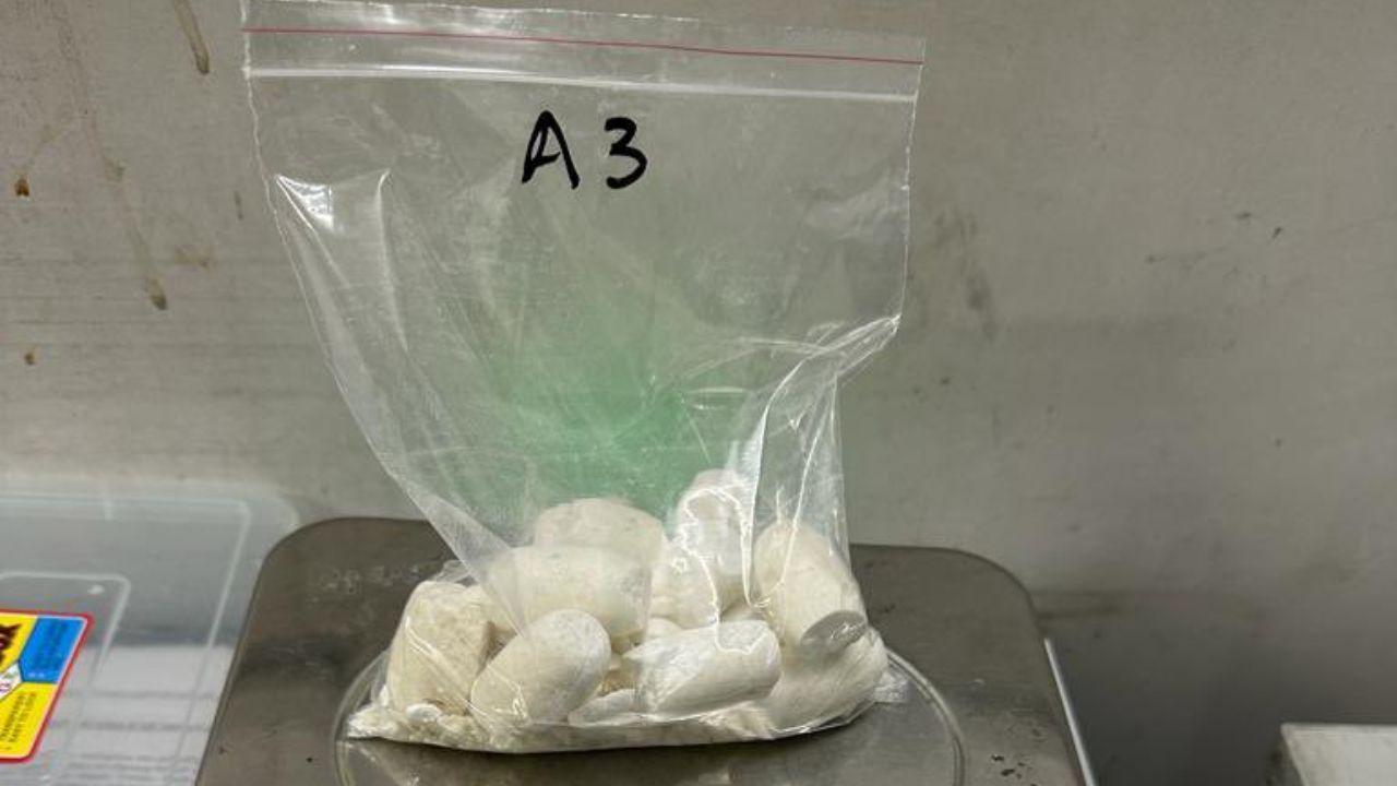 Delhi: Customs officials seize nearly 1 kg cocaine at Indira Gandhi Airport
