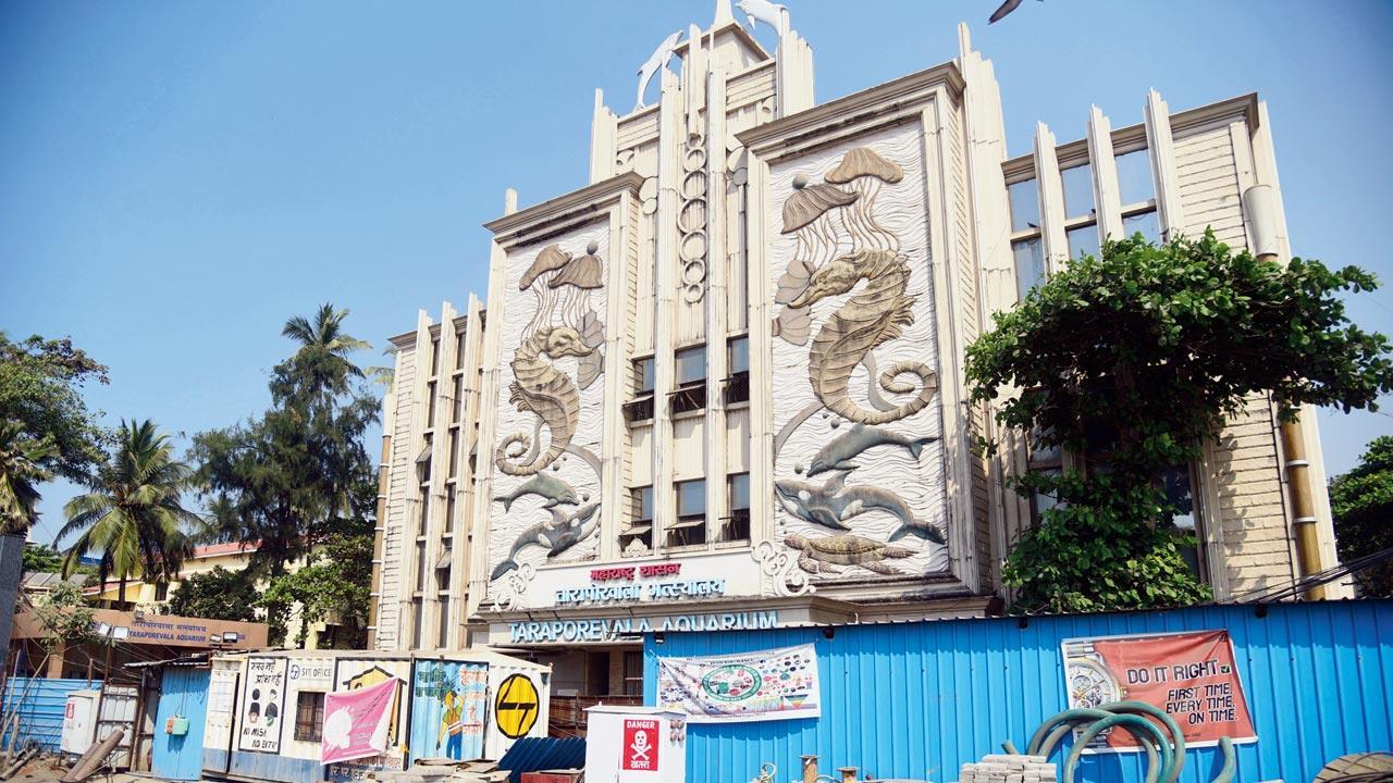As Taraporevala Aquarium is set for demolition, Mumbaikars share fond memories