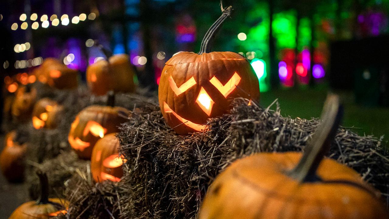 Pumpkins are displayed during a Halloween celebration in Vilnius, Lithuania ahead of Halloween.