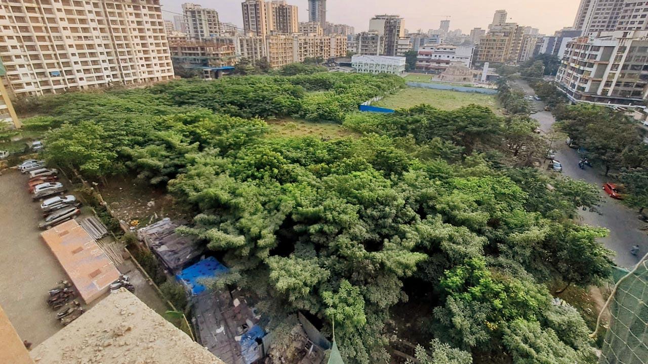 MBMC withdraws decision to axe 3,267 trees after outcry