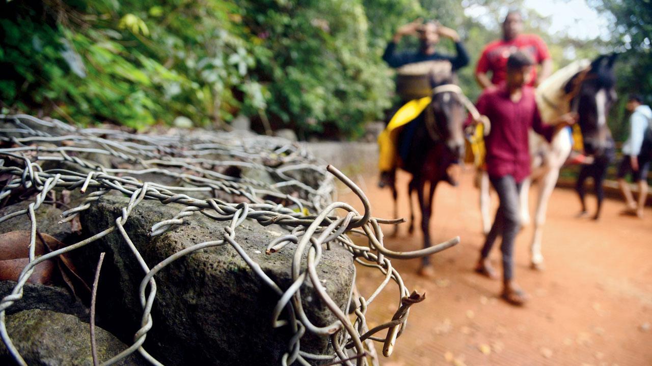 Maharashtra: Metal wire walls make Matheran trails scary for tourists