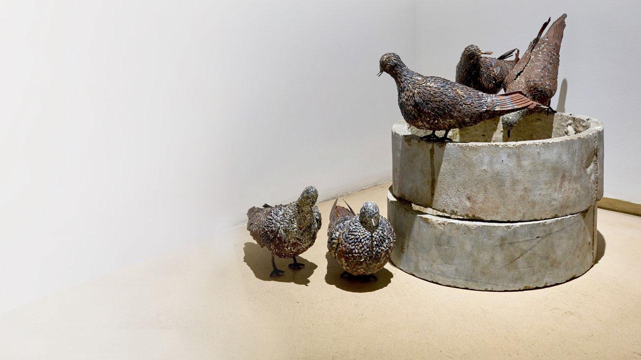 Metal pigeons in ‘To keep things whole I’ are placed across corners of the gallery