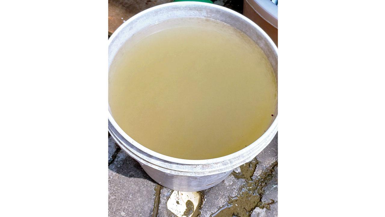 Mumbai: Despite a new pipeline, muddy water continues in Santacruz