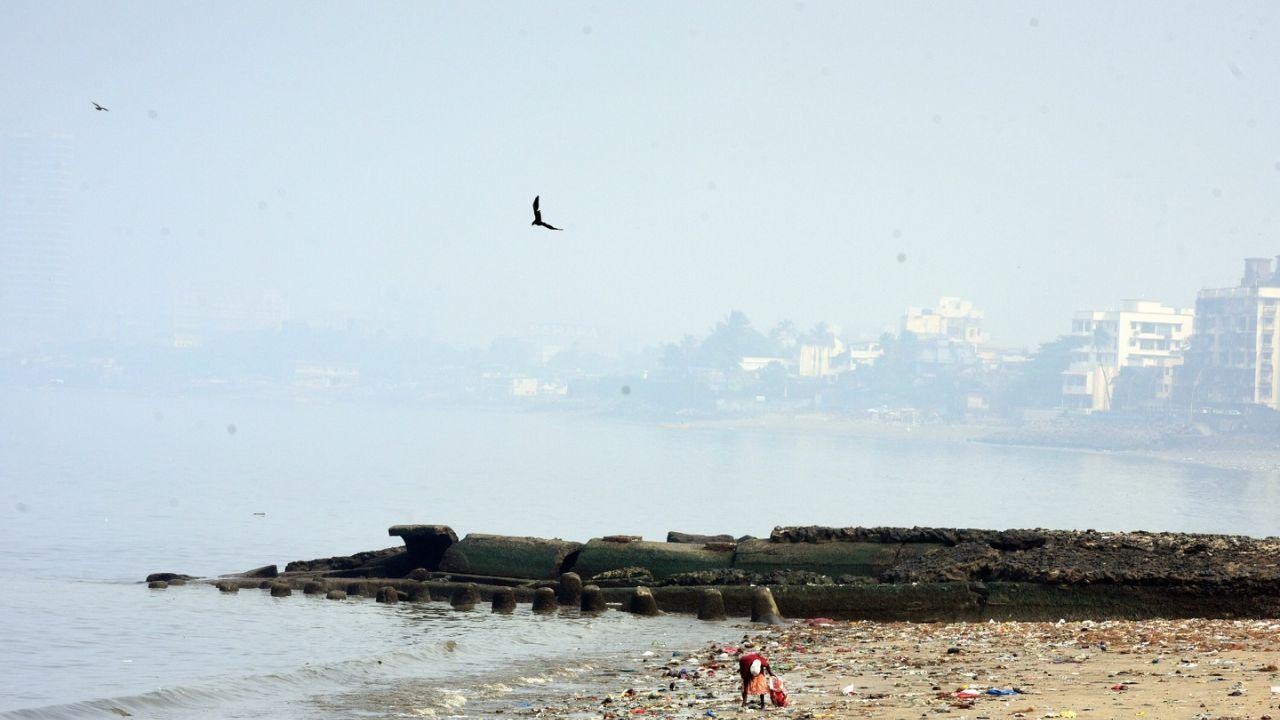 Navi Mumbai and Thane, both adjacent to Mumbai, also reported 'moderate' air quality levels with AQIs of 186 and 154, respectively, around 8 am. 
