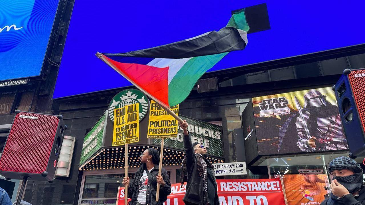 Pro-Palestinian demonstrators gathered at the iconic Times Square of New York City to express their support for Palestine amidst the ongoing Israel-Palestine war. Pics/PTI & X