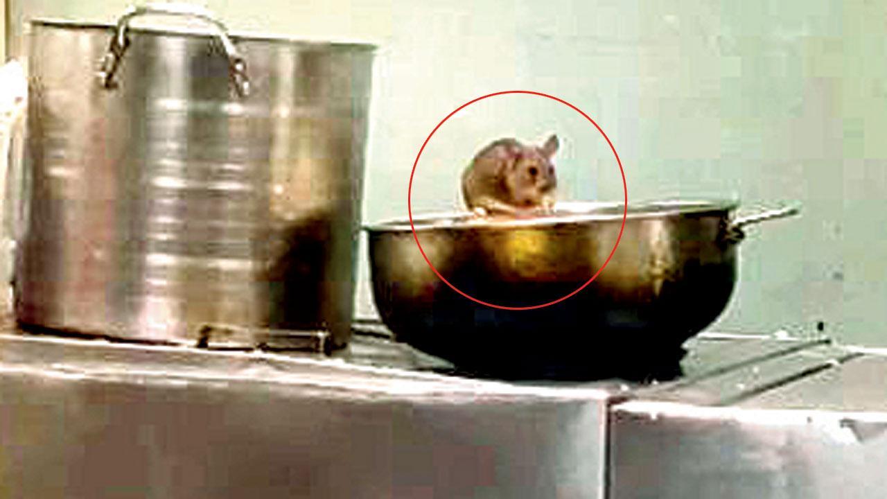 Central Railway launches probe as passenger's rodent video goes viral