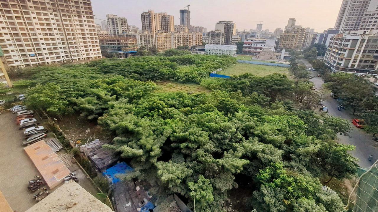 Mira Road: Notice claims trees will be replanted but doesn’t elaborate