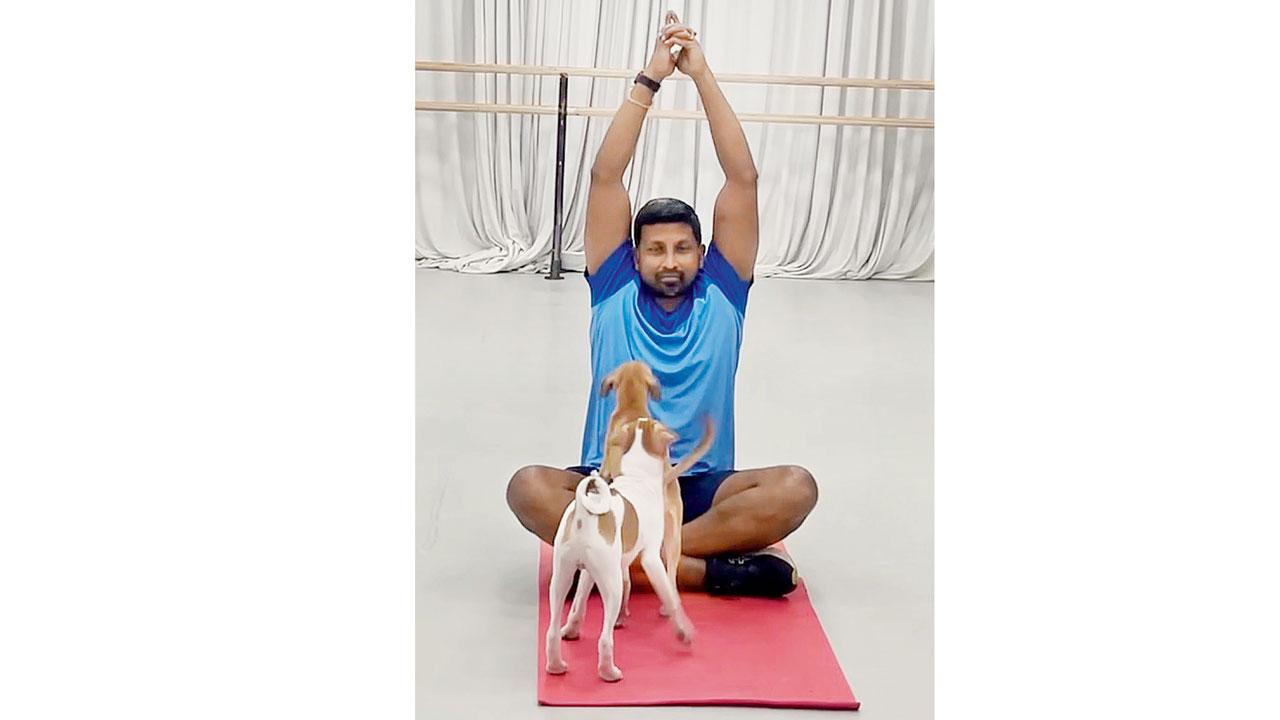 Arnold practises yoga at the session with puppies