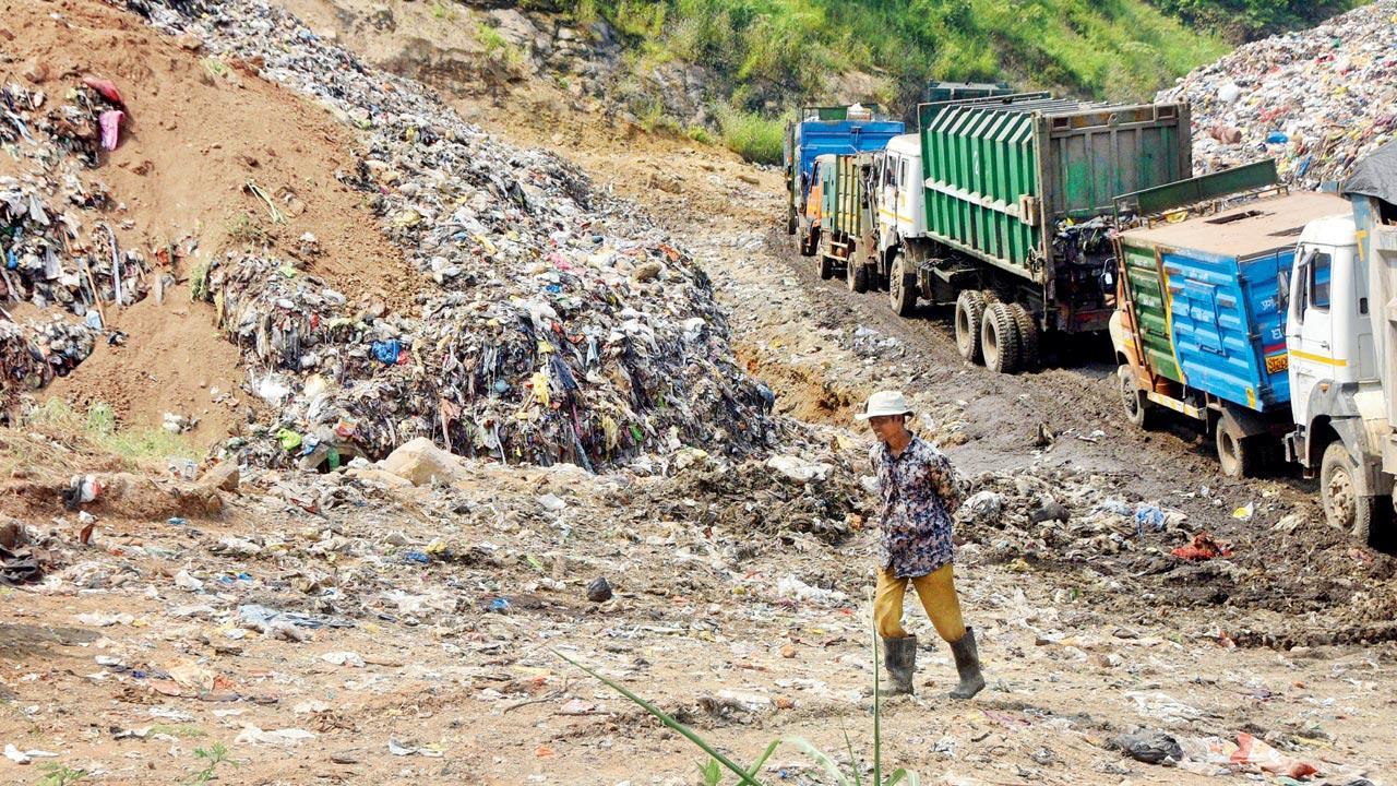 How residents of Maharashtra's Chauda Gaav are battling the ills of a temporary dumping ground
