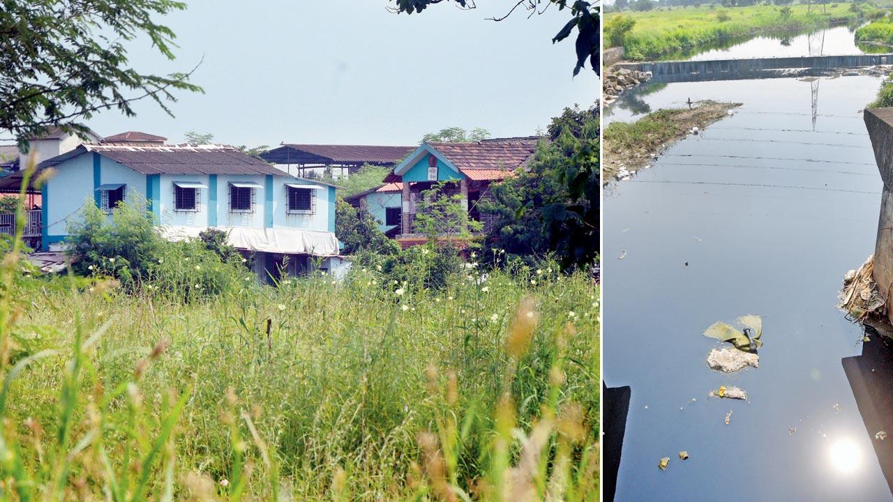 The sleepy villages of Chauda Gaav have retained their charm, but most of the youth have moved out for jobs now and farming is no longer the main livelihood here; (right) The open drain, which was once a favourite spot for the village children to swim in, is now polluted by dirty water, thanks to the dumping ground