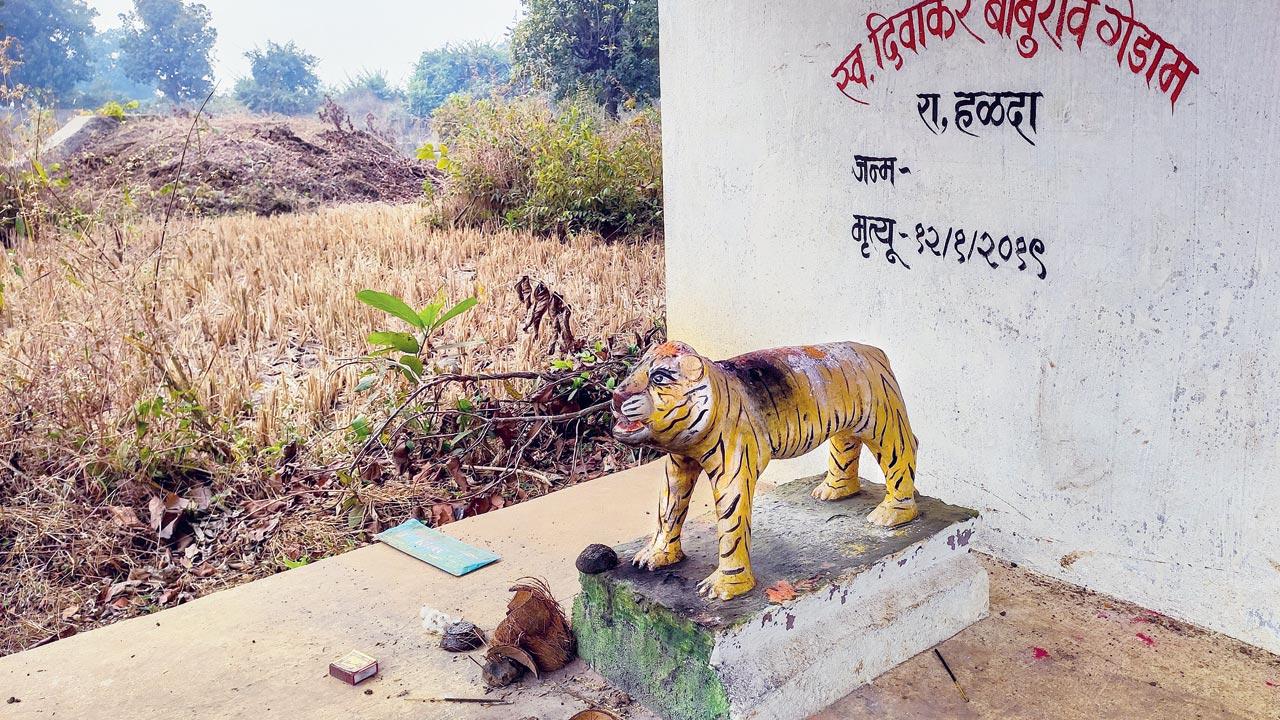 Memorial of man killed by a tiger in Halda village