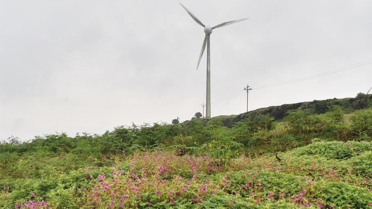 Why you should explore the lesser-known Chalkewadi in Satara