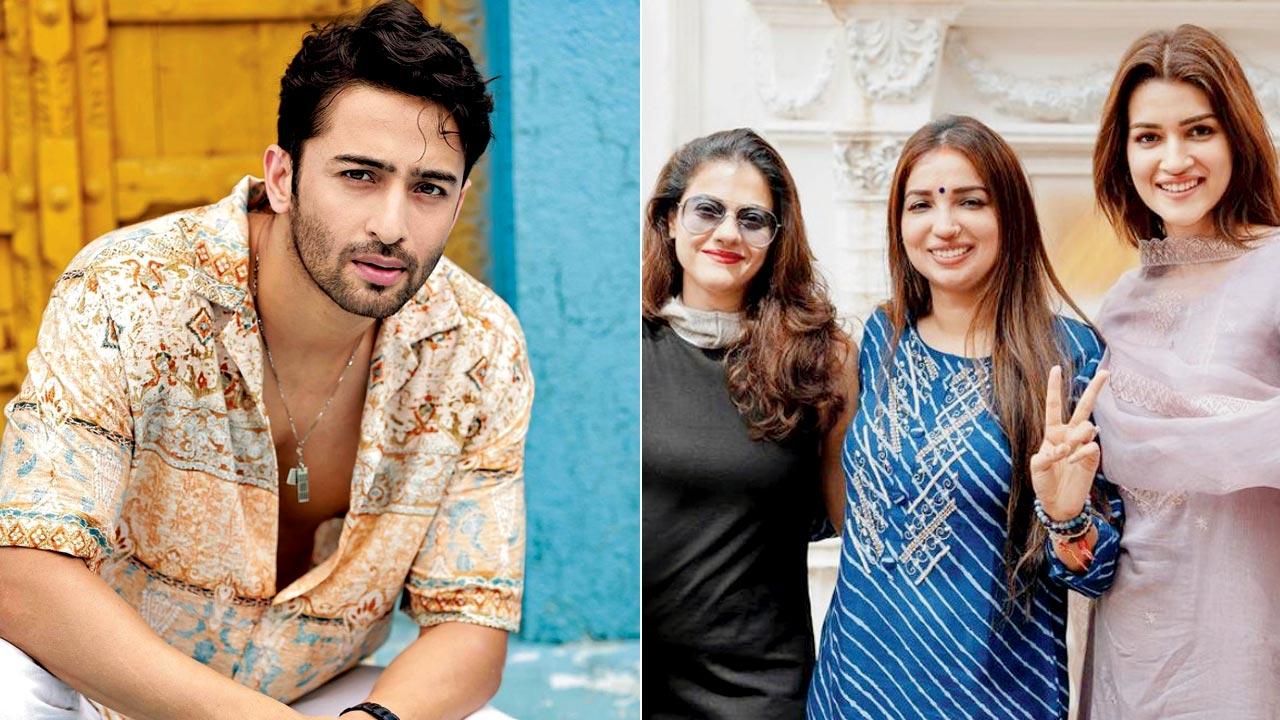 Shaheer joins Kajol, Kriti-starrer 