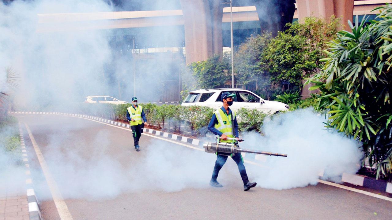 Large numbers of dengue cases are common in urban areas where development works take place, say doctors. Representation pic