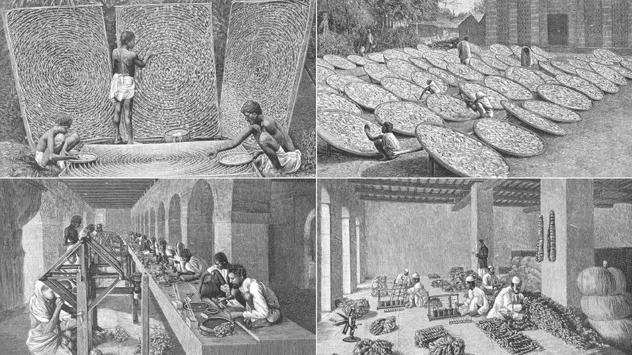 Placing silkworms in the spinning trays and removing the cocoons; Drying cocoons in the sun; Unwinding the cocoons; Testing, sorting and packing silk