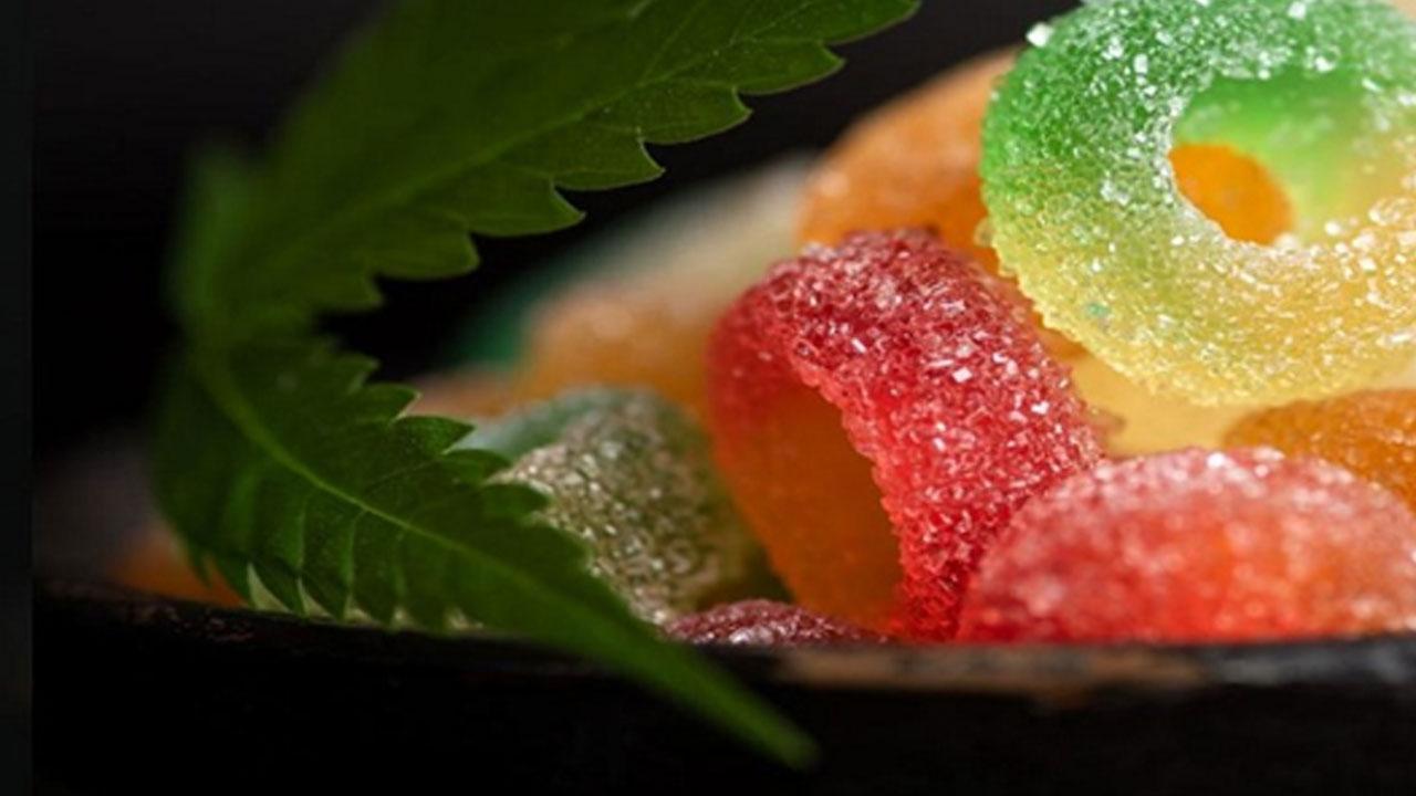 Wellness Peak CBD Gummies Reviews Scam Warning! Blissful Aura CBD Gummies Beware Alert Also About Read Before Buying