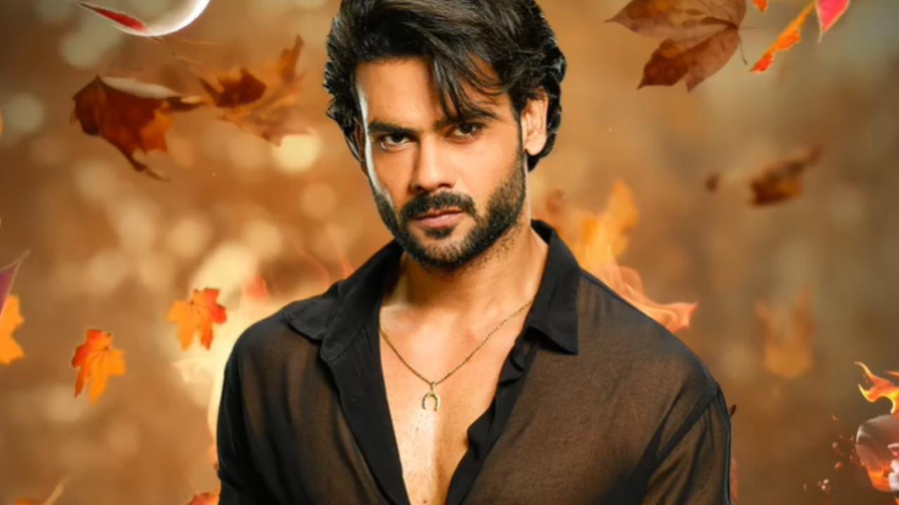 Vishal Aditya Singh on 'Chand Jalne Laga': Post 'BB 13', was waiting to spearhead a love story