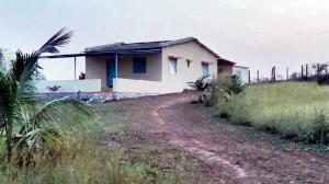 Breaking Bad in Palghar: Drug lord drew inspiration from web series, say cops