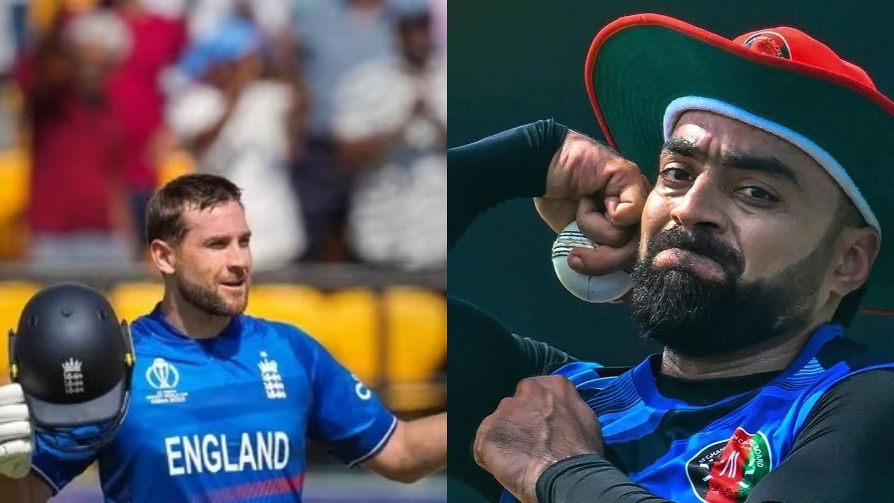 ICC World Cup 2023| ENG vs AFG: England win the toss and elect to field first