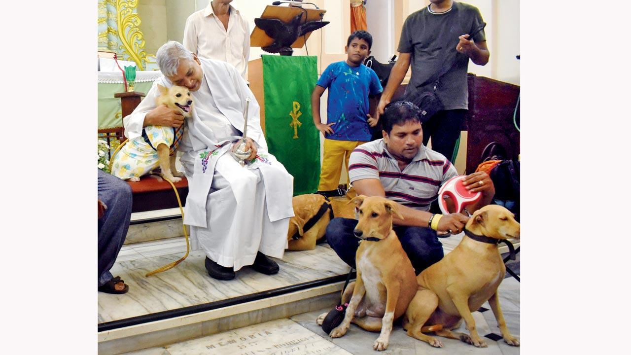 Mumbai Diary: Tuesday Dossier