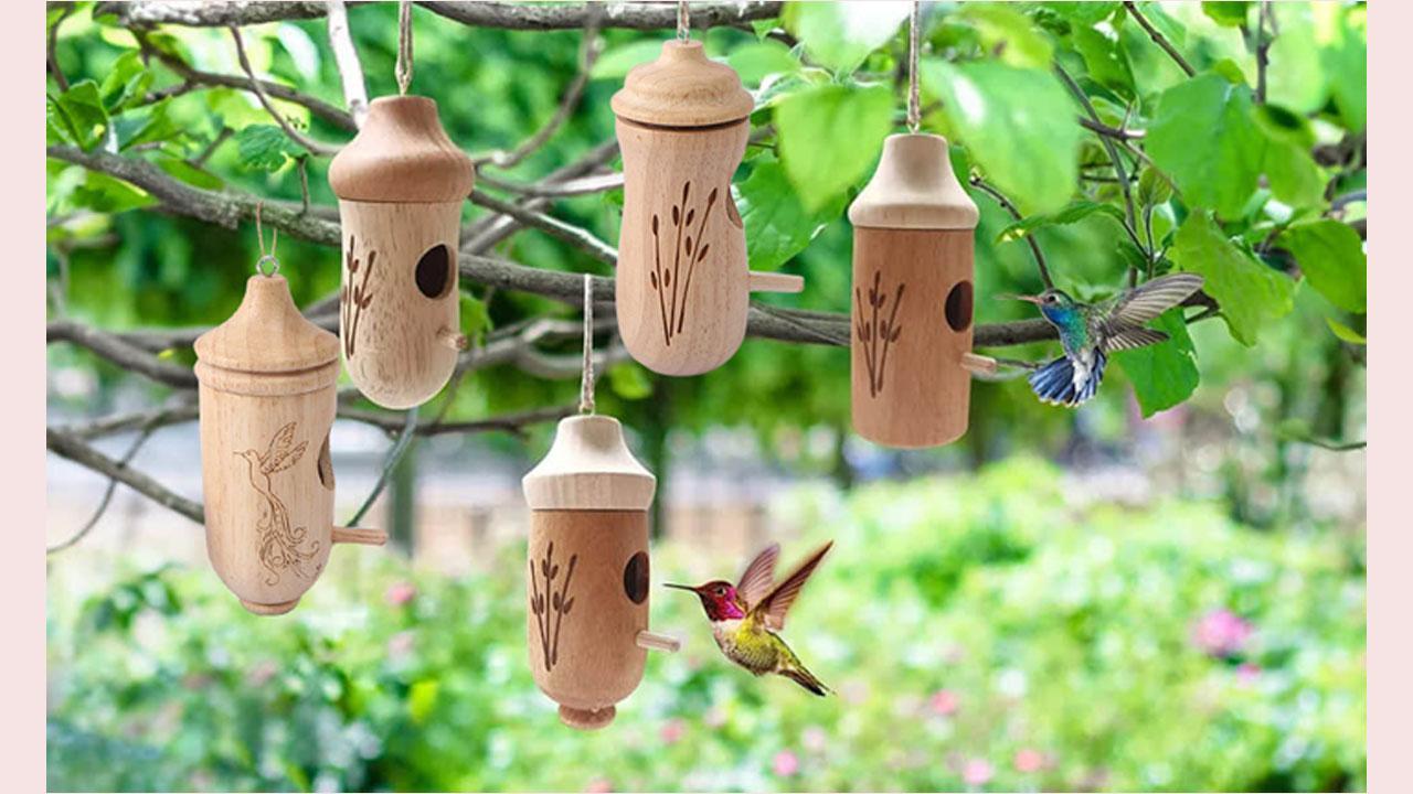 Dotmalls Wooden Hummingbird House Reviews - Must Read Before You Buy!