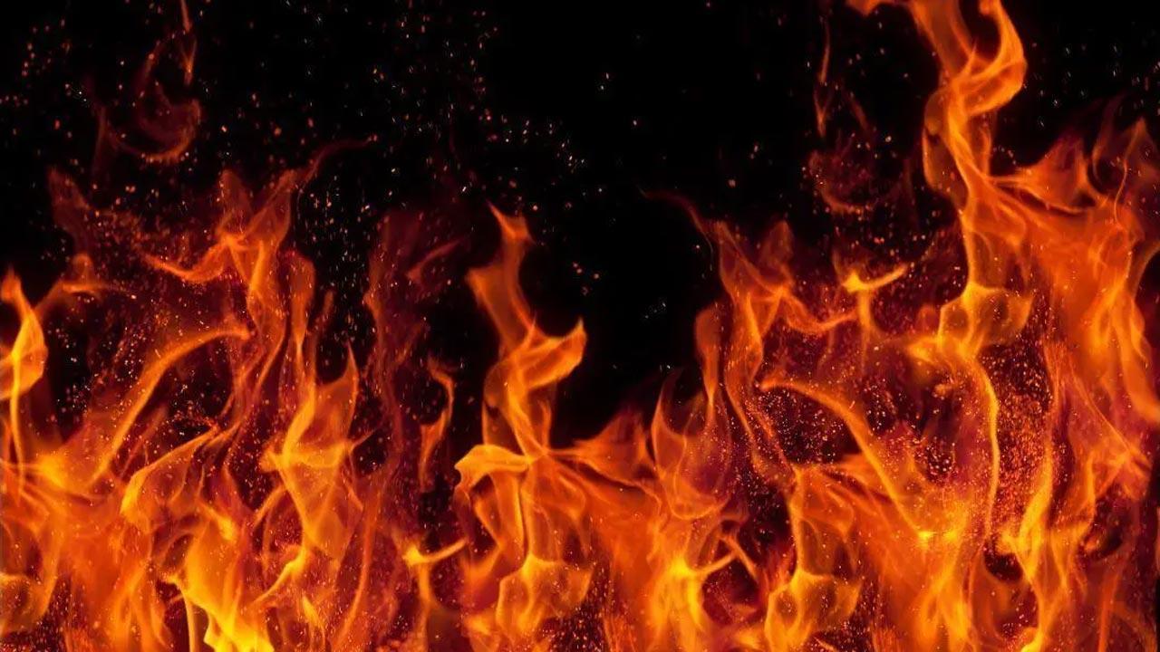 West Bengal: Fire breaks out at Darjeeling's Naxalbari Bazar, no casualties
