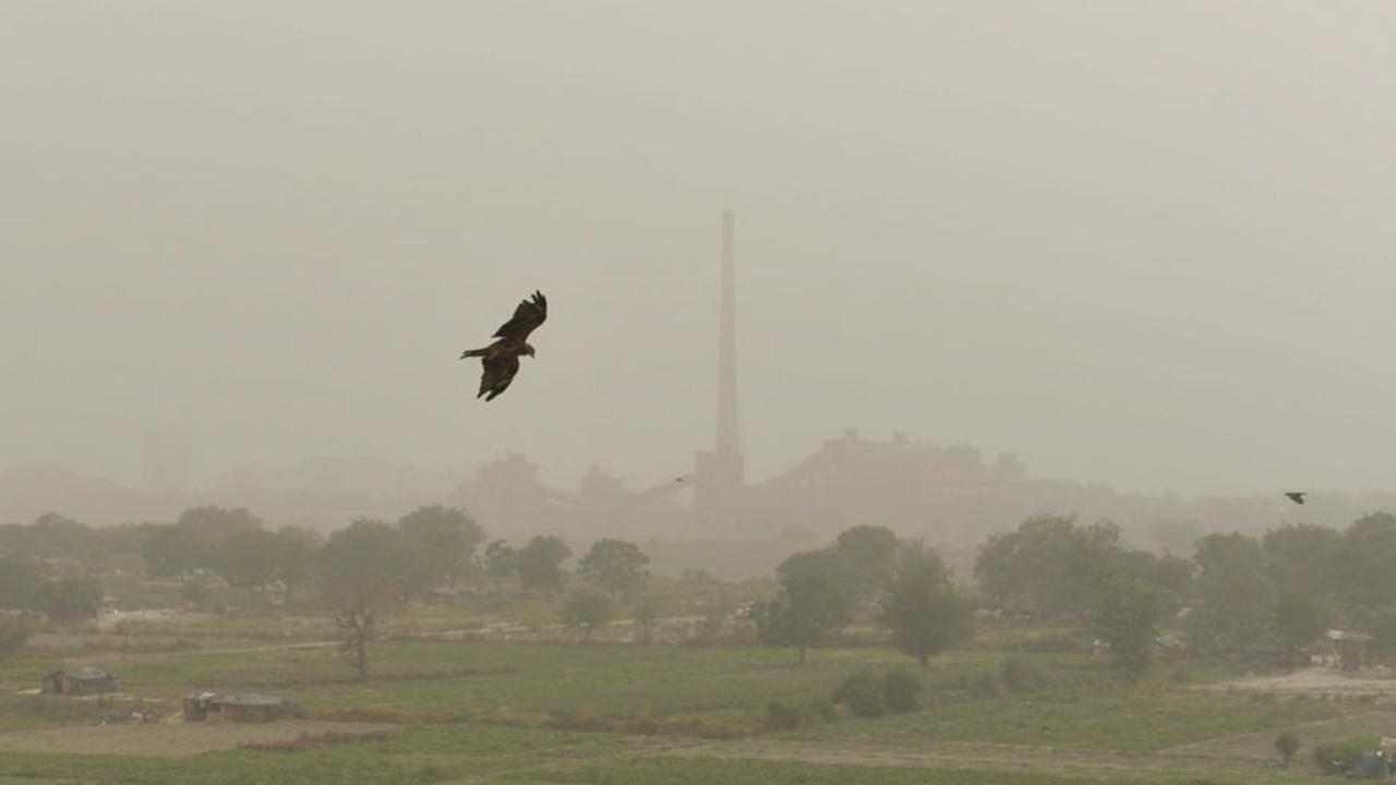 According to the Indian Meteorological Department (IMD), the onset of winter has begun, and this will bring about a significant drop in the temperature in Delhi-NCR. The weather in the city changed due to active western disturbances.