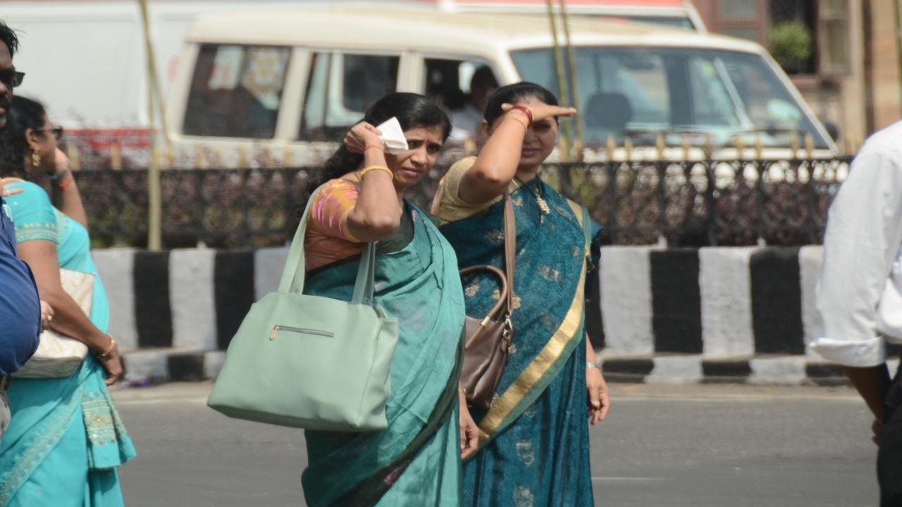 In contrast, the Colaba observatory, which tracks temperature and other weather-related data for the island city, documented a maximum temperature of 33.2 degrees Celsius, as reported by the IMD.
 