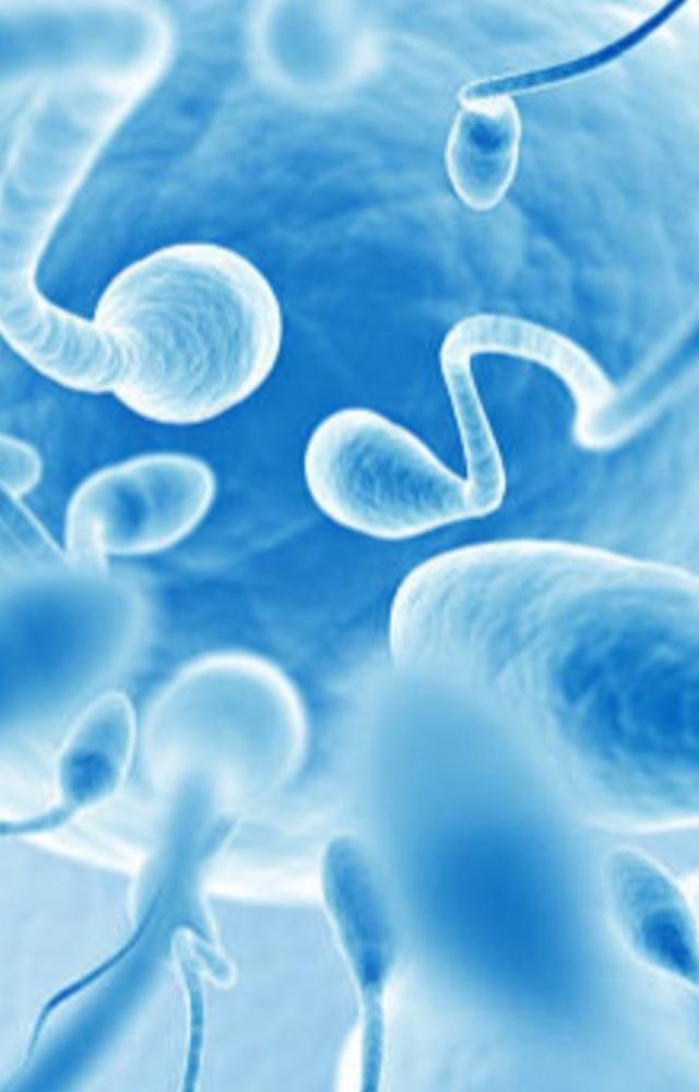 Lifestyle habits affecting sperm health