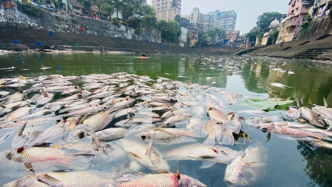 The food immersed in the water tank during the ritual pollutes the body