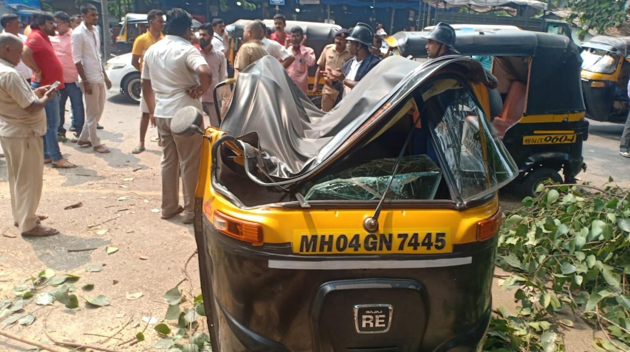 IN PHOTOS: Tree falls on auto-rickshaws in Thane