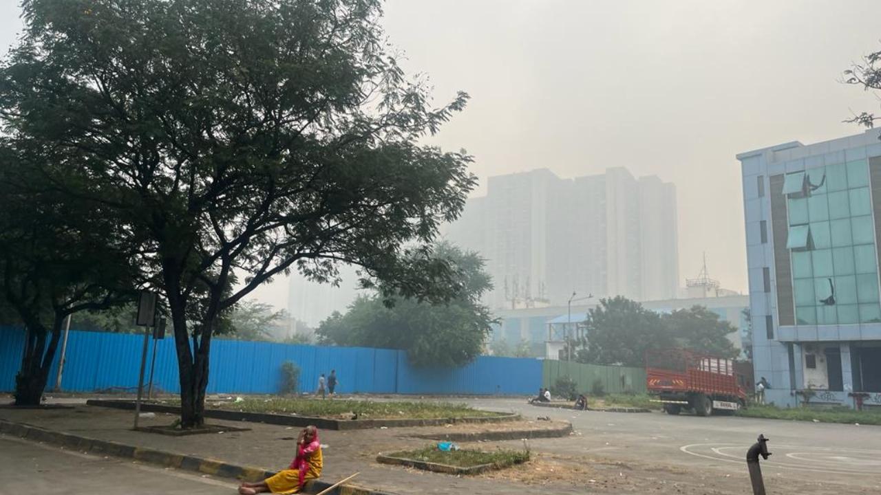 Mumbai's Air Quality Index (AQI) stood at 194, in the 'moderate' category, around 8 am and Thane's AQI stood at 164, in the 'moderate' category