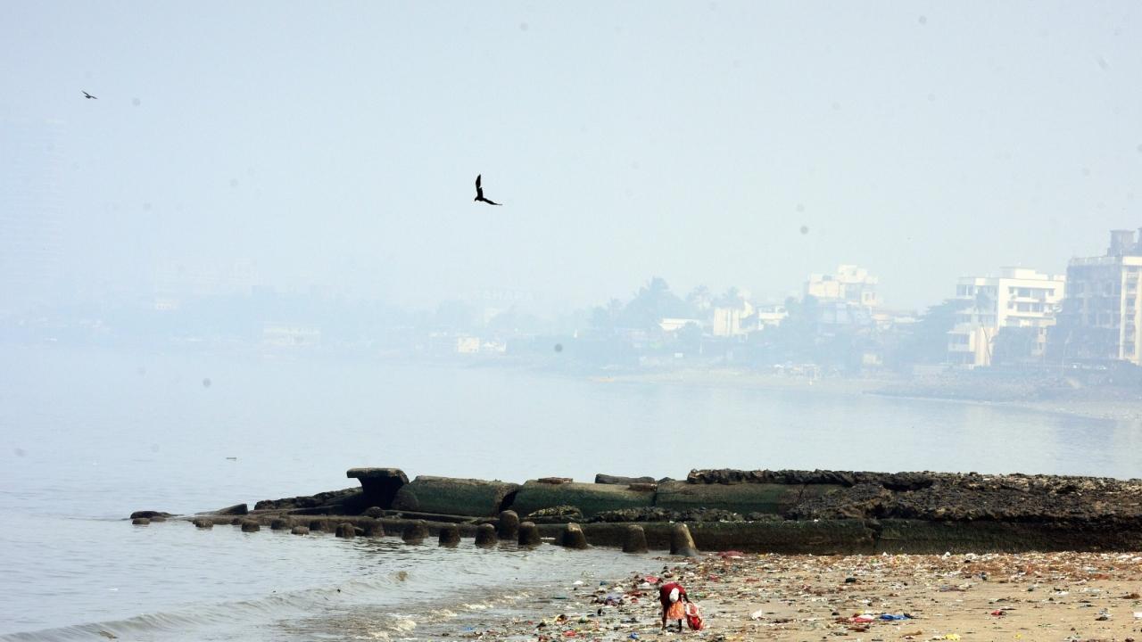 Mumbai's air quality in 'moderate' category, AQI at 158