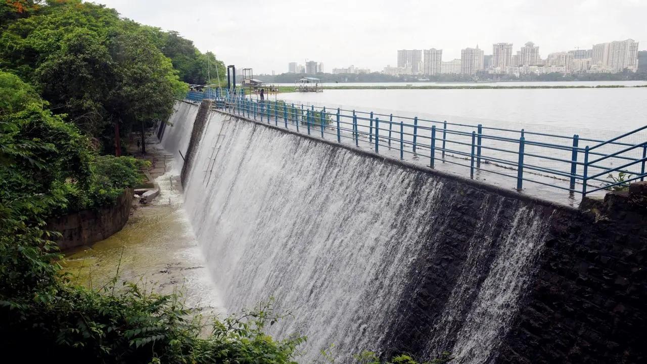 IN PHOTOS: Water levels in Mumbai's reservoirs reach 99.24 per cent capacity