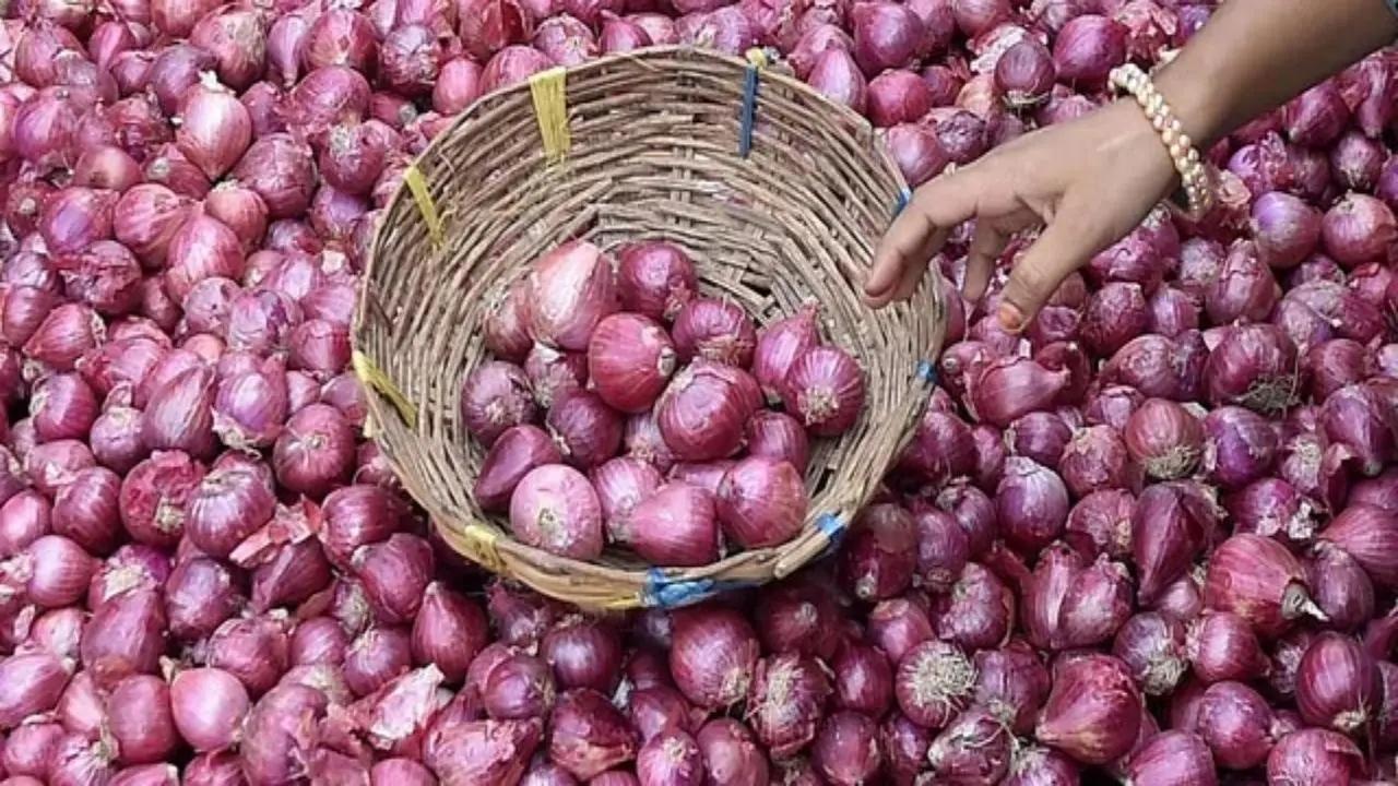 Maharashtra: Onion auctions restart at Nashik's APMCs as traders end strike