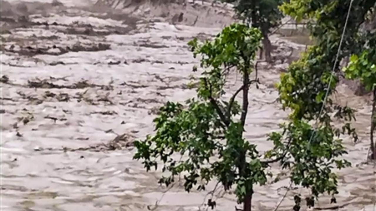 The flash flood, stemming from this incident, swept through River Teesta, causing significant damage